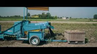 F.LLI SPEDO - SCAVA RACCOGLI PATATE JUNIOR