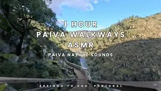 1 HOUR Paiva Walkways ASMR