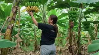 Aktifitas Pagi ini Sambil Momong Anak