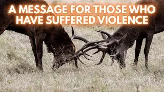 The Spiritual Essence Of Violence