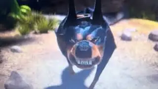 Alpha (Up) Puts His Hunting Training Into Place