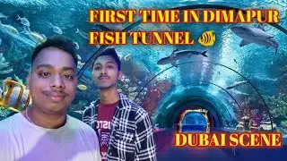 Dubai scene in Dimapur fast time|fish tunnel 🐠😱
