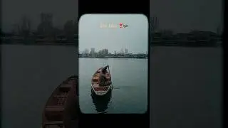 Dal Lake ❣️🛶 #nfak #love #music #subscribe #travel #srinagar #dallake #explore #kashmir #shorts