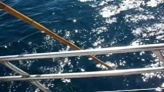 PACIFIC QUEST TUNA FISHING 10/3/08 2