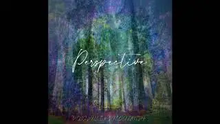 VERSALLI & ALQUIMIA - Perspective