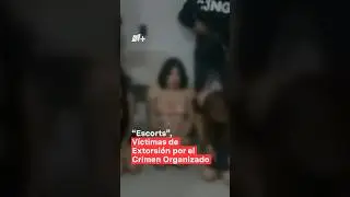 &ldquo;Escorts&rdquo; son extorsionadas por el crimen organizado #nmas #shorts