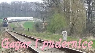2019.04.10 Gagar i pudernice