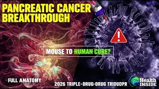 Pancreatic Cancer CURED? The 2026 Breakthrough That Changes Everything