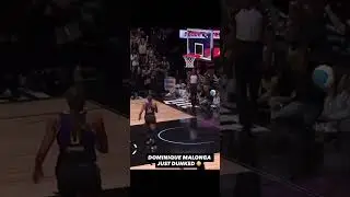 #dominiqueMalonga