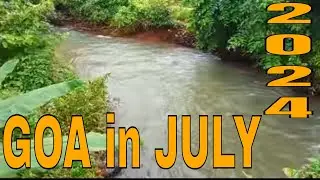 Goa in July 2024  | Goa  weather update  July 2024 | Things to do in Goa in July | Goa in monsoons