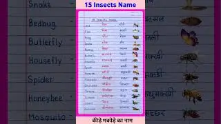 15 Insects Name in English and Hindi | कीड़े मकोड़े के नाम हिंदी और इंग्लिश में | #shorts #short