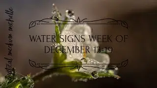 Water Signs weekend update/ week of December 13-19