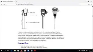Capacitance Level Sensors