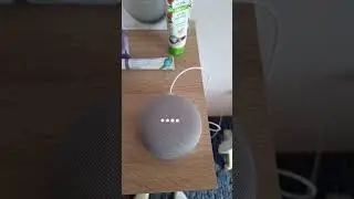 Google Home Mini Startup
