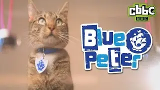 CBBC: Blue Peter Badge - Get Yours!