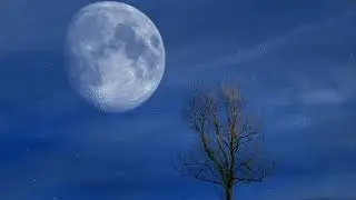 Sad Midnight  Blues - original  digital custom arrangements - Virtual Studio Orchestra - YagoJava