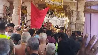Vaikunta Ekadashi Sri Rangam Namm Perumal#jaishreeram #devotionalhits #hindudeity #travelblogger 