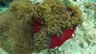 zanzibar 2023 - plong&eacute;e