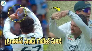 Travis Head Celebration After Pant Wicket iD Post Mix