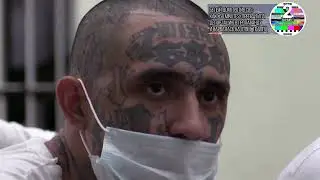 Белый дом против CBS как &laquo;60 Minutes&raquo; превратила депортацию в пропаганду и нарвалась на ответ Трамп