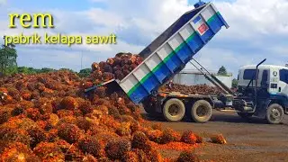 lori sawit malaysia 10 tayer
