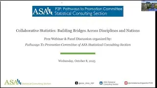 Collaborative Statistics: Building Bridges Across Disciplines and Nations