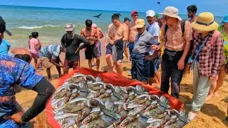 Village Net Fishing Mastery! Huge Fish Catch and Traditional Cutting Skills