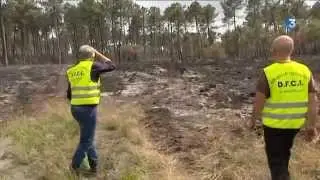 La DFCI, gardienne de la forêt