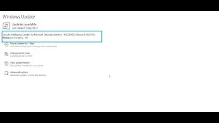 Security Intelligence update for Microsoft Defender Antivirus - KB2267602 (Version 1.341.776.0 )