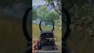 Momen Clutch