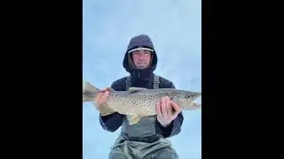 Bow River trout fishing Calgary Alberta