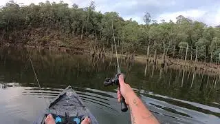 Fishing tips: Using the deadsticking technique