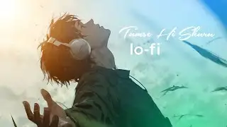 Tumse hi shuru | lo-fi mind relax song ❤