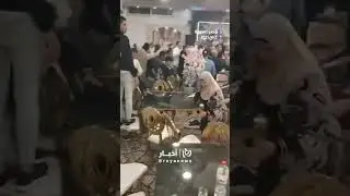 Wedding turns into a brawl in Alexandria