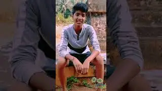 #coronashortvideo #malavanidhamaka #creativevetore #kokani #malavani