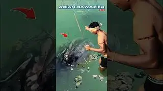 This is the moment the giant fish was lifted#fishing