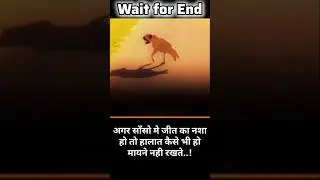 Jeet Ka Nasha 🔥 #WinningMindset