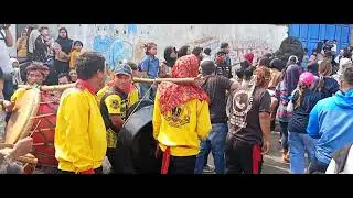 Seni benjang mekar budaya live in pasir pari
