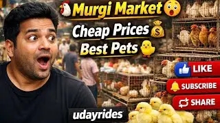 😱 ముర్గీ మార్కెట్ Exploring | Cheap Prices 💰 | Best Pet Birds 🐔🐥 | udayrides