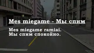 Урок 00320. Повторение уроков. Pamokų kartojimas. Уроки с 00311 по 00319. Уроки литовского языка.