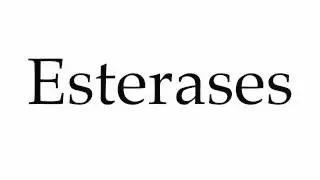 How to Pronounce Esterases