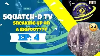 (? Видео-подкаст Bigfoot) Squatch-D TV 8/25/19 Подкрадывается к Bigfoo...