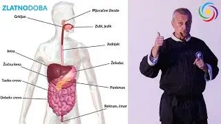 KINESKA TRADICIONALNA MEDICINA - Goran Kostadinov