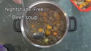 Nightshade Free Beef Soup Recipe in Just 30 Minutes!