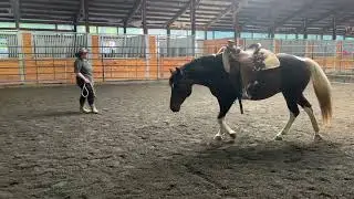 Training Update: Violet
