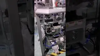 Meat ball seafood bal sorting counting vertical bag packaging machine running video