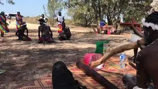 Gadayka/stringybark tree manikay