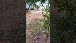 indian railway luggage train
