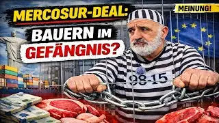 Mercosur: Wer sch&uuml;tzt unsere Bauern?