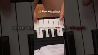 Org ve Piyano Aynı mı? | Piyano Kursu ile Ger&ccedil;ek Farkı Keşfedin #piyanoakademi #piano #piyanoeğitimi